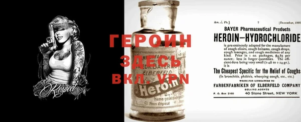 ПСИЛОЦИБИНОВЫЕ ГРИБЫ Новозыбков