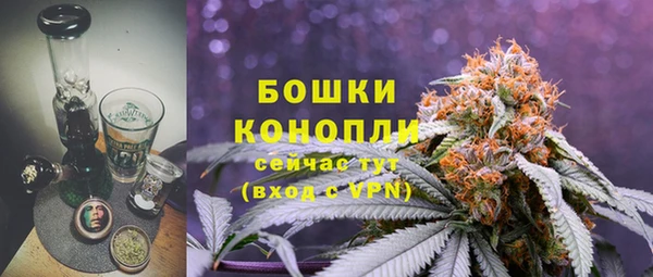 ГАЛЛЮЦИНОГЕННЫЕ ГРИБЫ Няндома