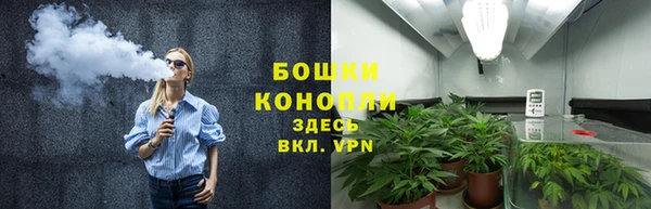 дмт Нягань