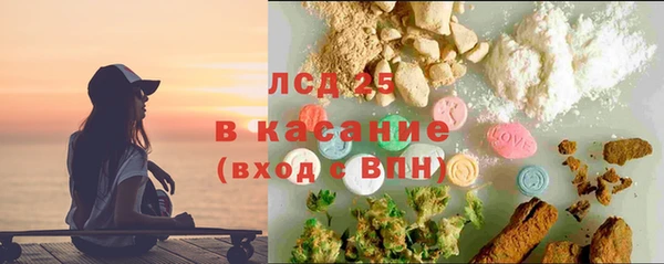 ПСИЛОЦИБИНОВЫЕ ГРИБЫ Новозыбков