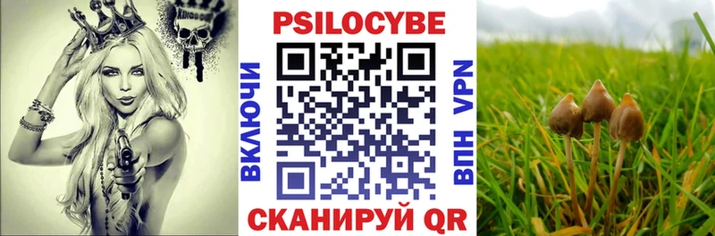 дарк нет клад  Порхов  Псилоцибиновые грибы Psilocybe  blacksprut сайт 